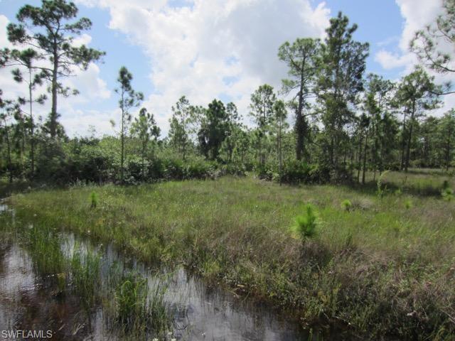 GOLDEN GATE ESTATES - Land