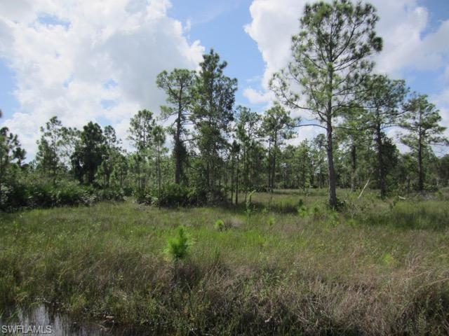 GOLDEN GATE ESTATES - Land