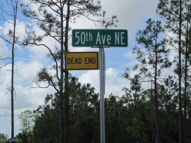 GOLDEN GATE ESTATES - Land