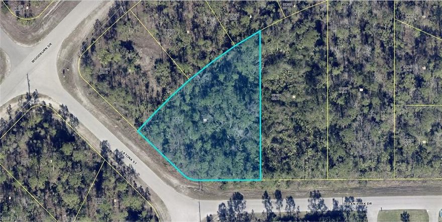 Oversized .49-acre corner lot located in the desirable Greenbriar area of Lehigh Acres. Enjoy a peaceful setting surrounded by nature and wildlife while still having convenient access to Joel Blvd for an easy commute to Fort Myers. This nearly half-acre homesite offers plenty of space and privacy to build your dream home or hold as an investment in this growing area.