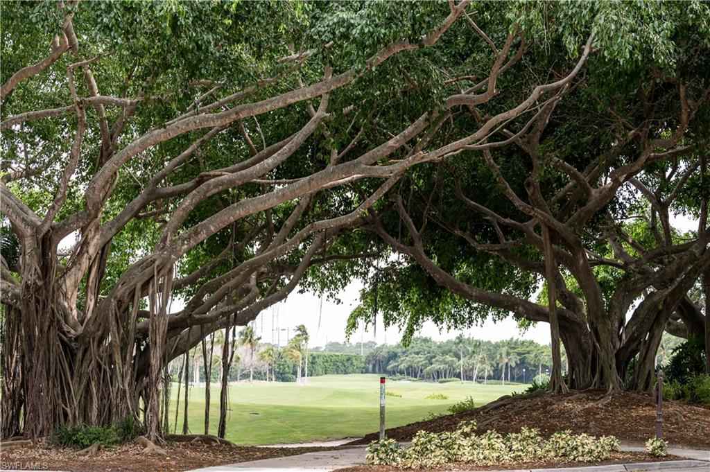 BANYAN ISLAND - Residential