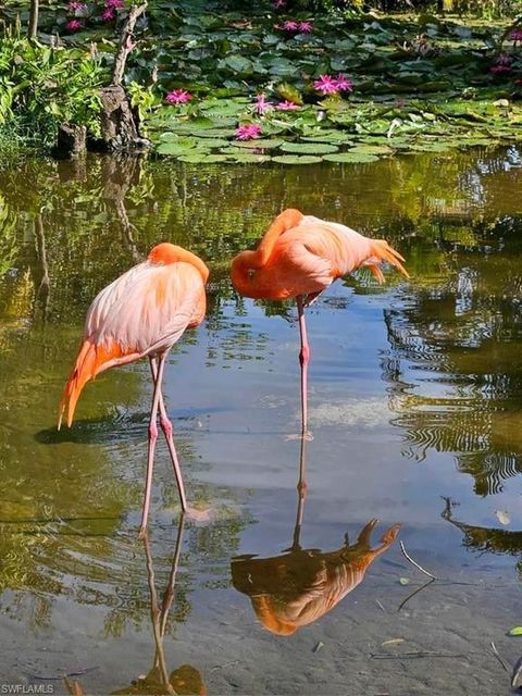 A home in BONITA SPRINGS