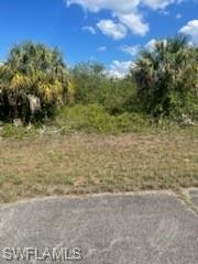 BANYAN VILLAGE - Land