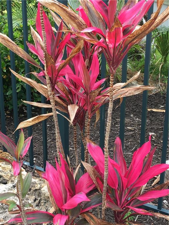 VANDERBILT CLUB - Residential