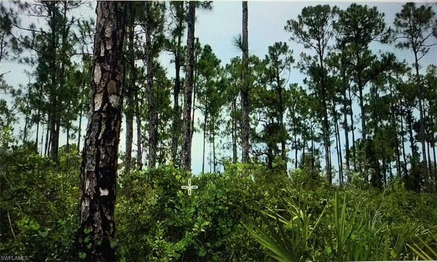 Environmental Report shows Lot is Uplands with .032 acres of wetlands! Located close to everything including eateries, a waterpark, parks, and with easy access back to town! Located off of Everglades Blvd Just north of Oil Well Road, on a dead end street with lots of newer homes. Lot sits between House addresses 3437 & 3451 41st Ave NE.
THIS AREA ALLOWS HORSES AND THERE ARE NO HOA FEES, RULES OR REGULATIONS!
The environmentalist that did the report, explained the below: 
Reference information for you regarding the wetland permitting for your property on 41st Ave NE is bulleted out below:
• The wetlands are "isolated", which means this site is a candidate for a "General" Permit that does not involve mitigation purchases. 
• A general permit involves 9-12 months to complete and it would cost $4150 for our company to process it. 
• I will note that the state agency that will be reviewing your permit application often seeks to invalidate accurate/correctly assessed wetlands delineations and may require an "Individual" Permit with mitigation - I would estimate that additional expense between $8K-$10K.