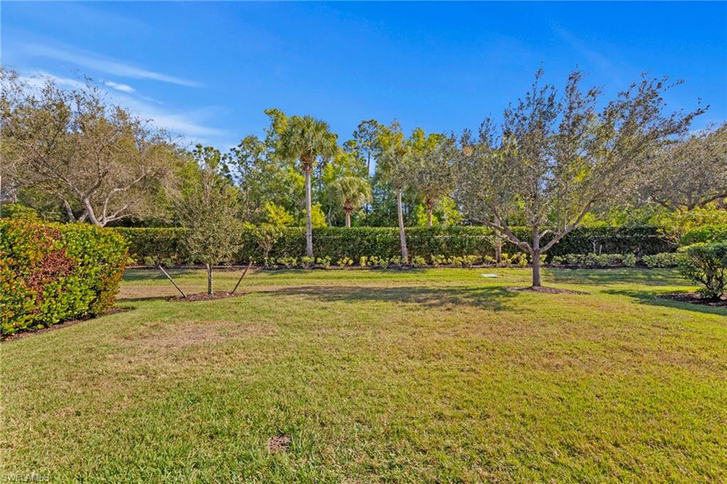 THE RESERVE AT ESTERO - Residential