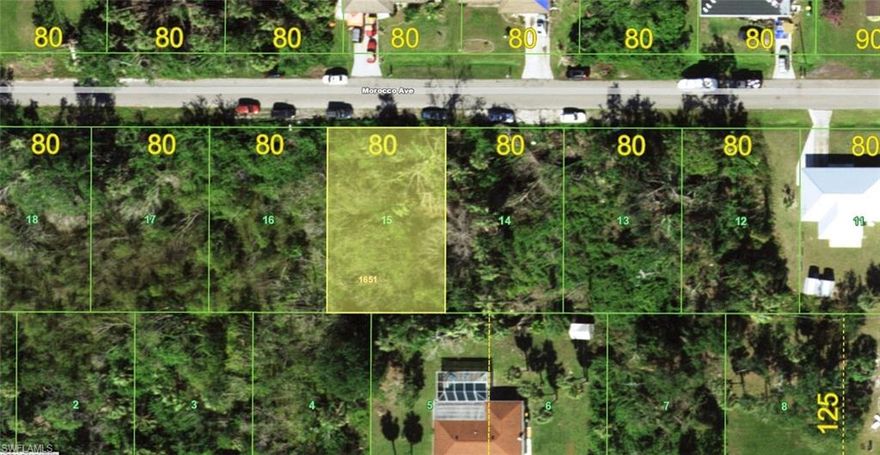 Buildable residential lot located in an established area of Port Charlotte, surrounded by existing homes and ongoing development. The property sits on a paved road with electricity available on the street.