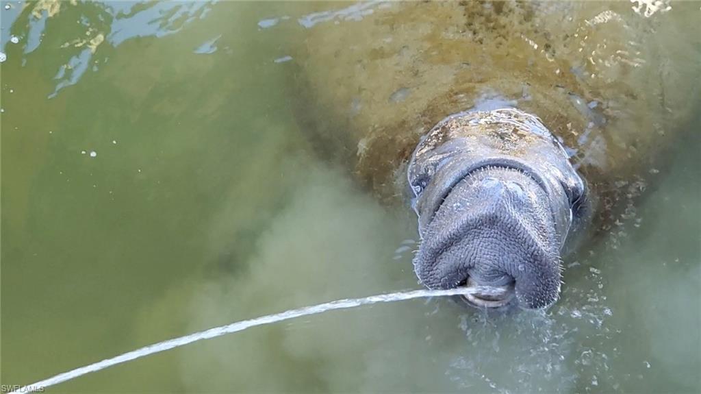 LAGUNA SHORES - Land