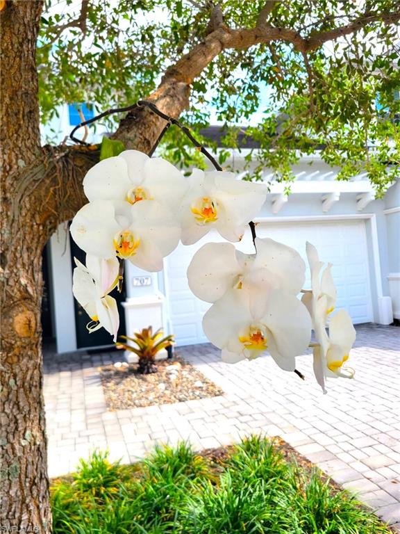 AVALON - Residential Lease