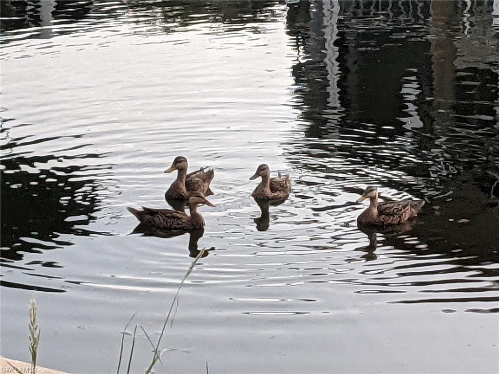 EMILY LANE LAND CONDO - Land