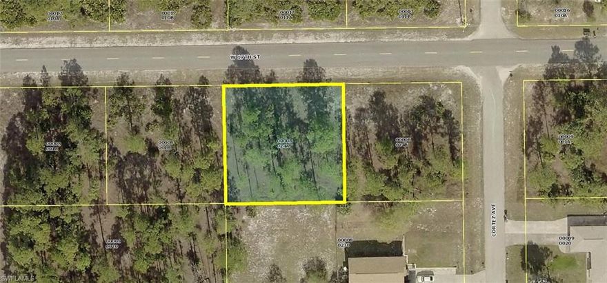 Very nice high and dry oversize 1/4 acre + homesite (width 105' x 105' deep) in a nice neighborhood of well maintained single family homes in LEHIGH ACRES. Property features highly desirable Southern views at the rear of the homesite with quick and easy access to Lee Boulevard, Joel Boulevard, Palm Beach Boulevard - State Road 80, State Road 82, shopping, restaurants, recreation, schools, medical services, boating, golfing, SWFL International Airport and all that Southwest Florida has to offer. Northern and/or Eastern morning sunrise views facing the front road-side of the property. County maintained paved roads with power and phone lines at the street. Build your dream or vacation home now and/or save this special area homesite for later. Don't miss this unique opportunity to purchase this choice property for only $8,995 each with SELLER DIRECT FINANCING (US) with $0 (ZERO) down, no credit check, job or income verification for ONLY $98.00 per month payment. Personal checks OK. Consider a second look soon ... you'll be so glad you did...