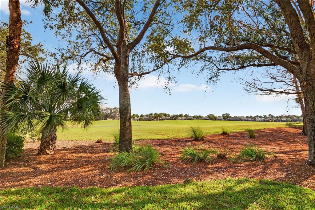 PALMETTO RIDGE AT SHADOW WOOD - Residential