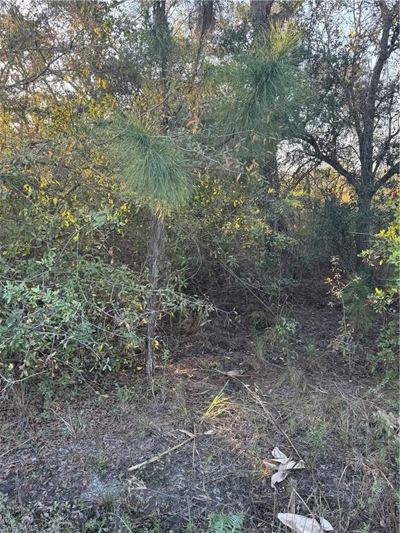 PIONEER PLANTATION - Land