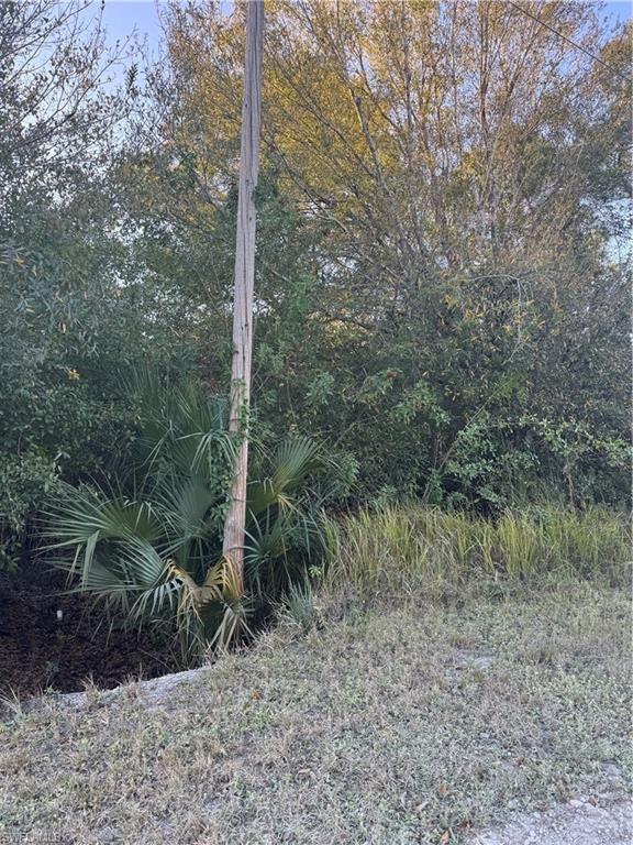 PIONEER PLANTATION - Land