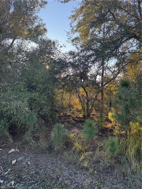 PIONEER PLANTATION - Land