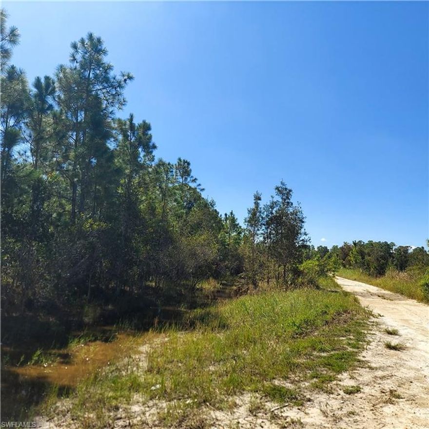 Vacant lot close Joel Blvd. This is a wetland parcel.