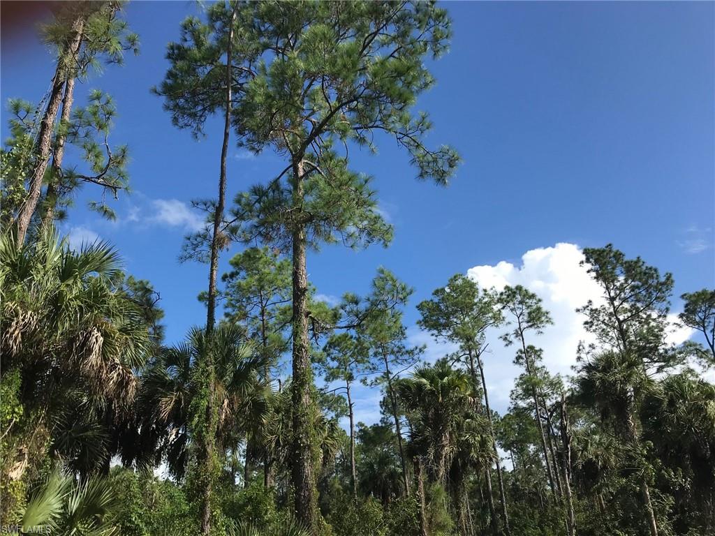 GOLDEN GATE ESTATES - Land