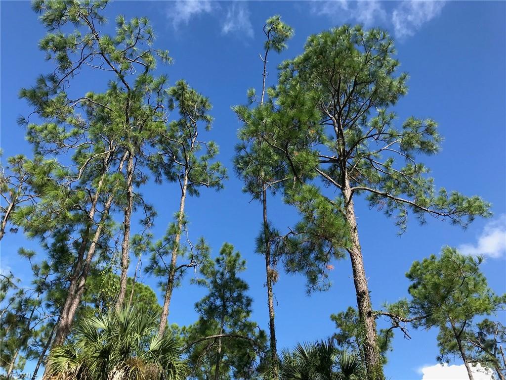 GOLDEN GATE ESTATES - Land