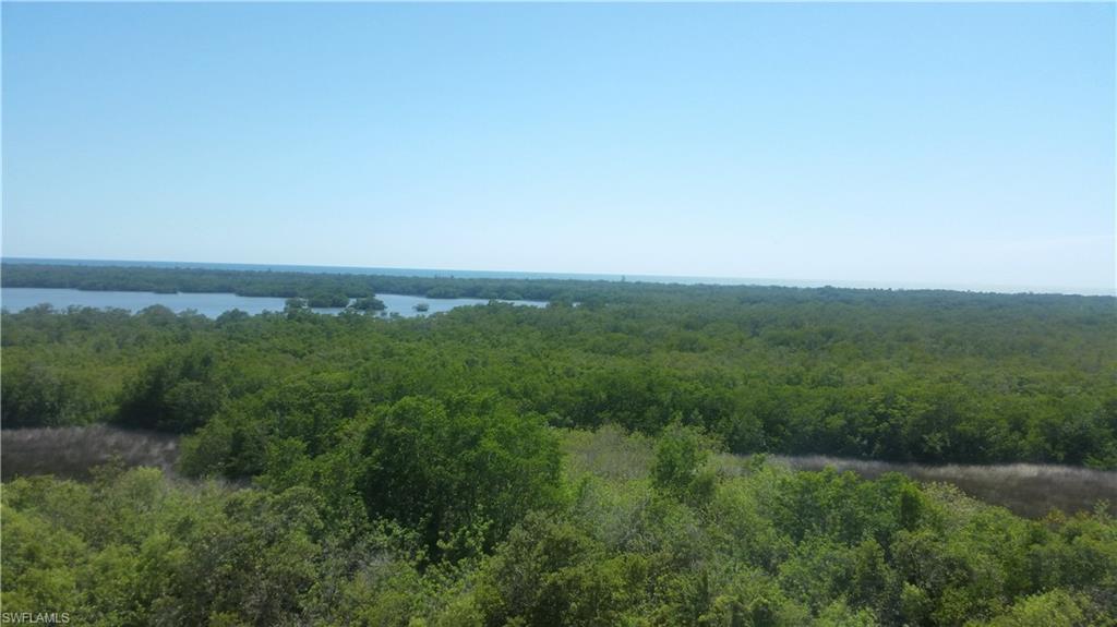 TOWER POINTE AT ARBOR TRACE - Residential