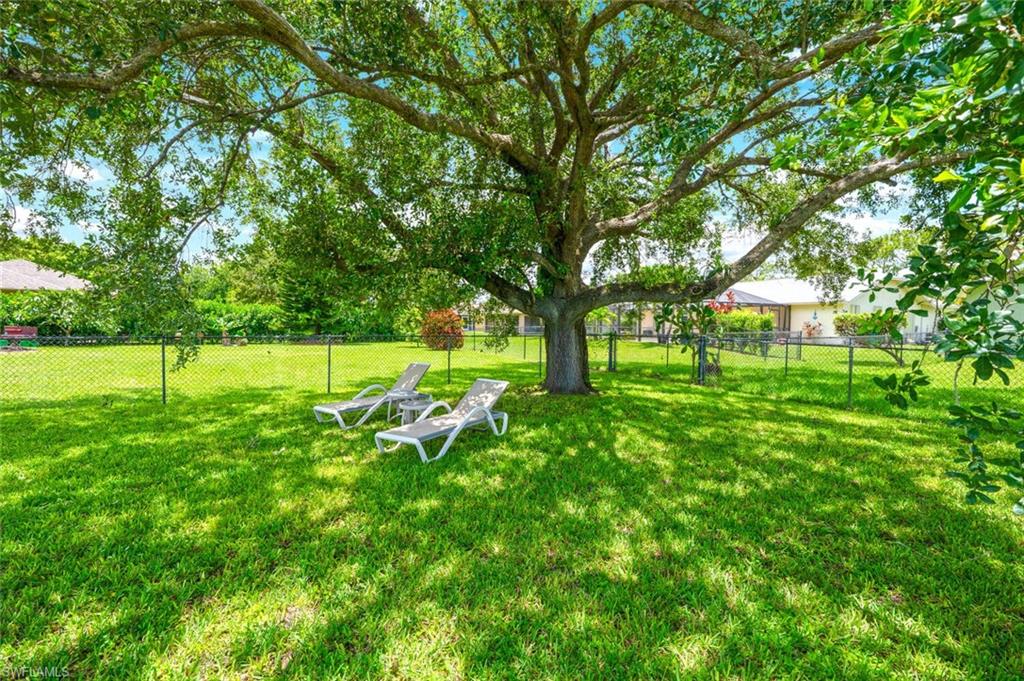 CITRUS GREENS - Residential