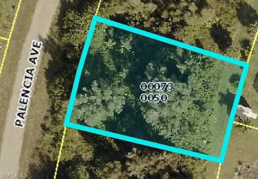 Beautiful and Affordable Residential lot with decent road to build your future home. West facing. Great location with excellent access to County Road 82. 15 minutes to the Forum Shopping Center and I75. 25 minutes to RSW Airport. Buyer to verify dimensions. We have 14 additional quality lots available for sale