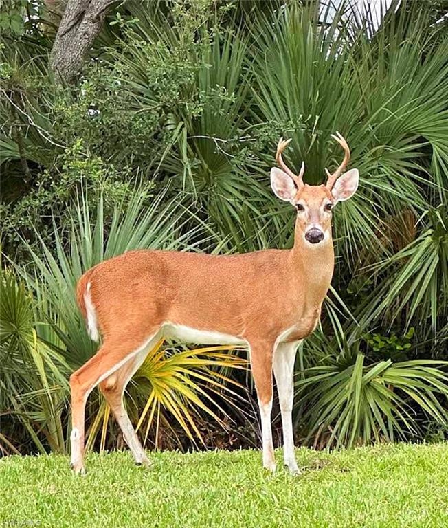 TERRACE AT PRESTWICK - Residential