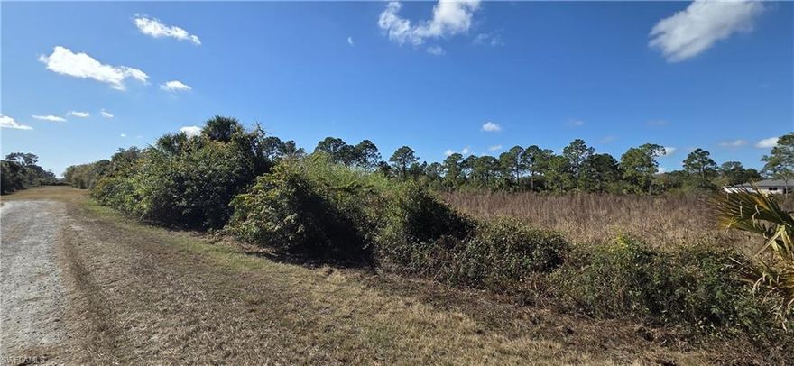 Discover the perfect opportunity to own land in the peaceful and growing community of Montura Ranches. This vacant residential lot at 540 S Zambria St offers a quiet rural setting with wide-open space, fresh air, and beautiful Florida skies. Ideal for building a custom home, placing a manufactured home, or holding as a long-term investment.