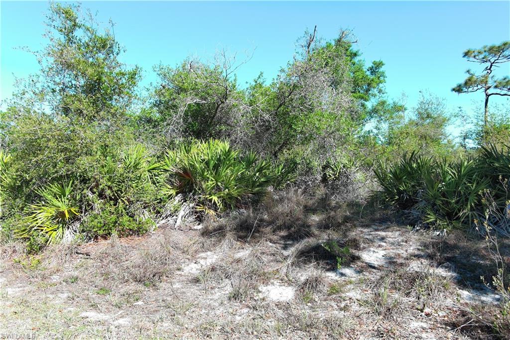 CHARLOTTE SHORES - Land