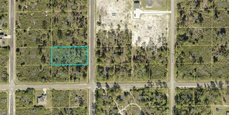 Half Acre lot located close to W 13th with easy access to Williams Blvd.  New construction in the area makes this a perfect spot for your dream home!  Lehigh Acres is just a short drive to Fort Myers and Punta Gorda airports, two spring training facilities and beaches!