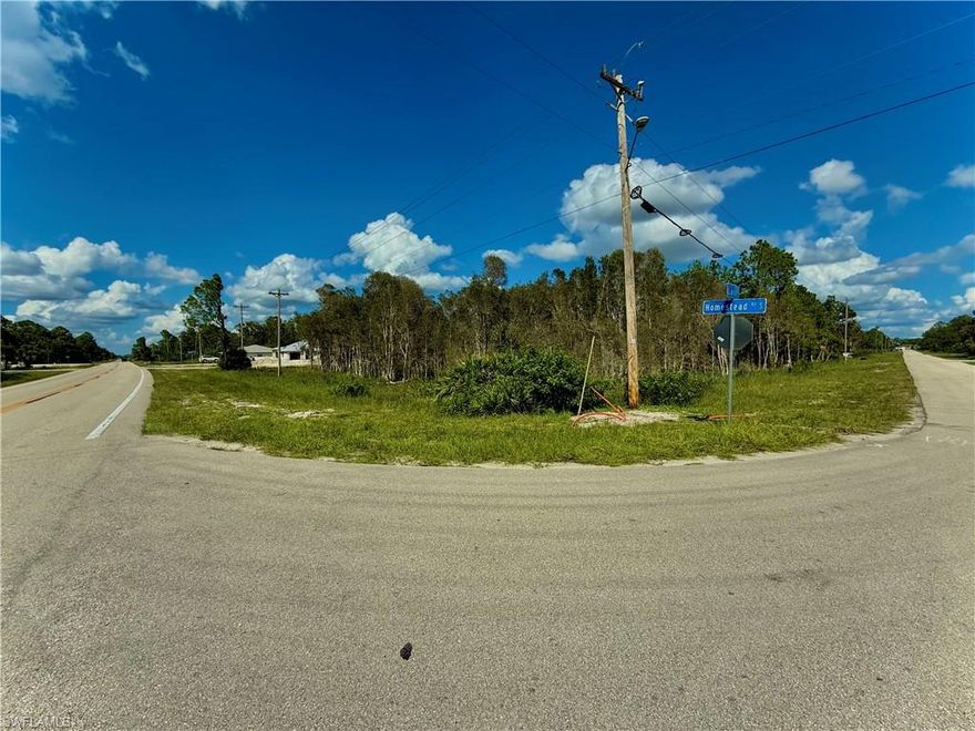 GREAT LOCATION on CORNER of paved road with utilities available, very Unique SIDE BY SIDE BY SIDE DUPLEX properties in the HIGHLY DESIRABLE south side of Lehigh Acres close to 82 and major amenities with a quick commute to Fort Myers. The ADJACENT Lots 1001/1003 & 1005/1007 Homestead blvd are also for sale to build multiple brand new DUPLEXES side by side! Come build your DREAM HOME or INVEST today!