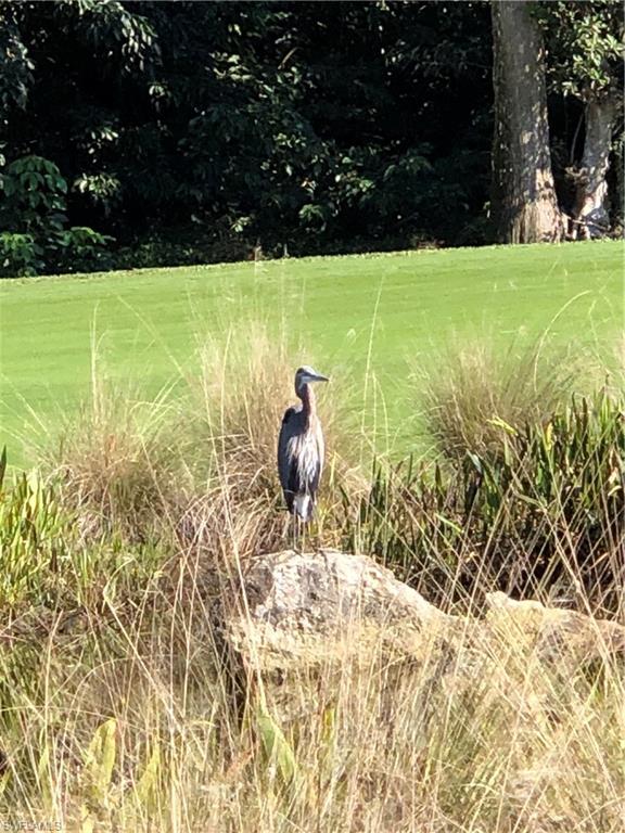 GLADES COUNTRY CLUB - Residential