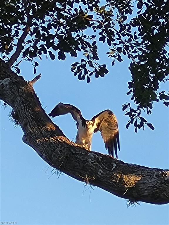 WILLOWBROOK - Residential