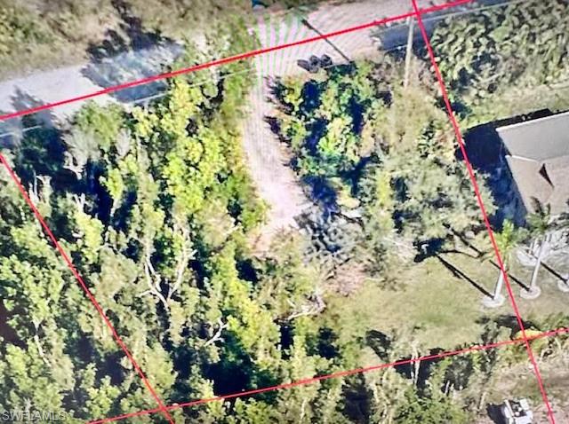 KREAMERS AVOCADO SUBD - Land