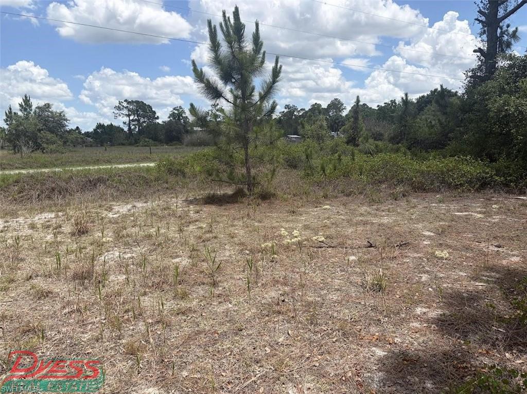 MONTURA RANCH ESTATES - Land