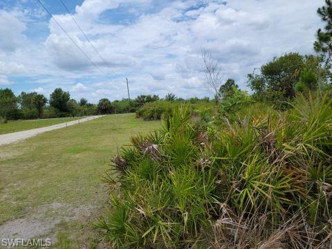 GOLDEN GATE ESTATES - Land