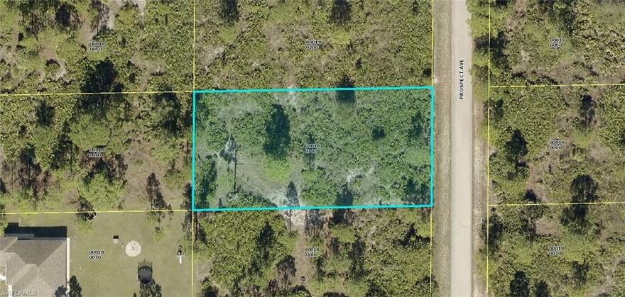 1/2 ACRE LOT in growing area of new homes in Lehigh Acres. Lots are moving up quickly in price. Nice neighborhood and easy to get to all Lehigh Acres has to offer.
