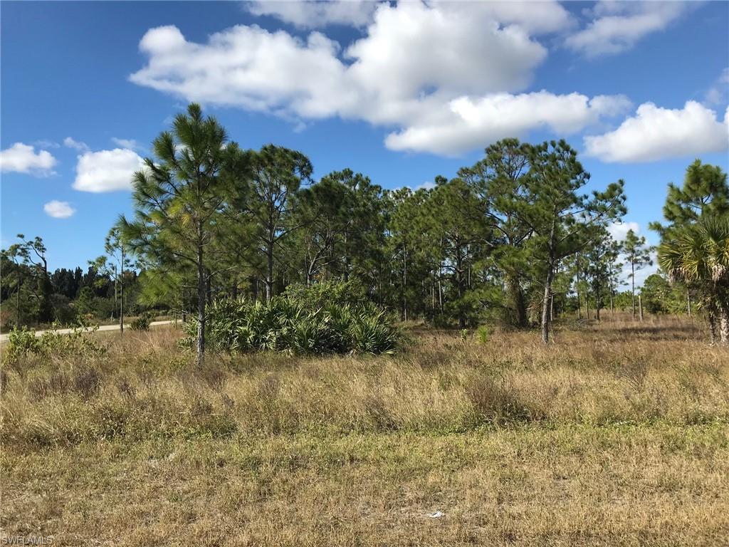 GOLDEN GATE ESTATES - Land