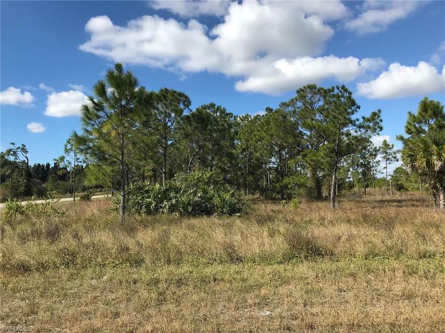 Uplands 100% per the 2003 DEP Wetland Determination attached. Enjoy the peaceful, country lifestyle of Golden Gate Estates, just minutes from the splendor and beautiful beaches of Naples, Florida. Build the home of your dreams on this wonderful 2.81 acre corner lot with some nice pine trees. Plenty of room also for a guest house or stables, and zoning allows 2 horses per acre. Location also convenient to the new, soon to be opened Big Corkscrew Island Regional Park.