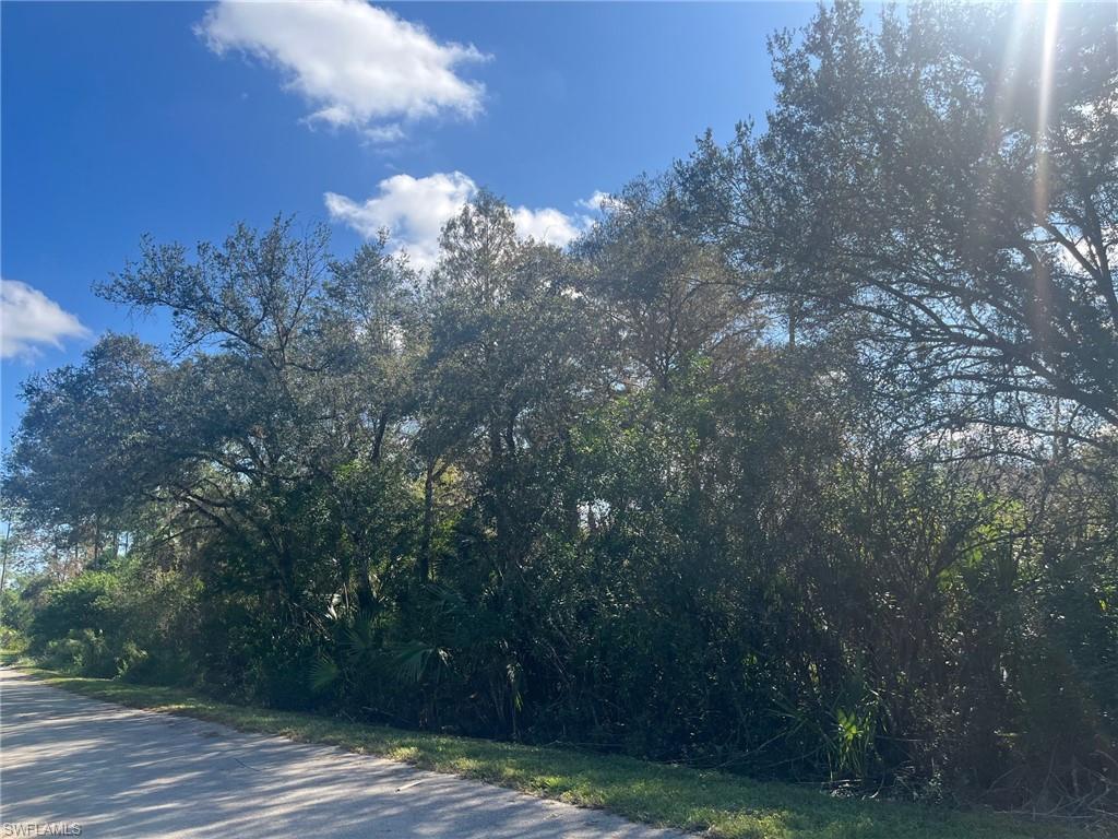 GOLDEN GATE ESTATES - Land