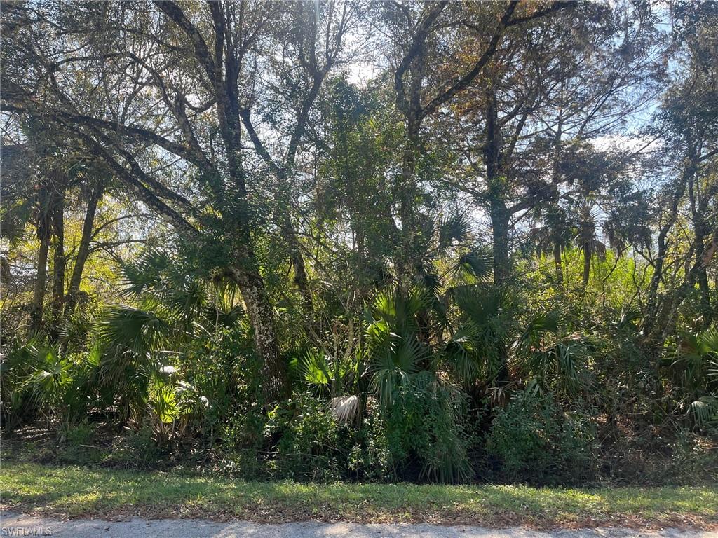 GOLDEN GATE ESTATES - Land