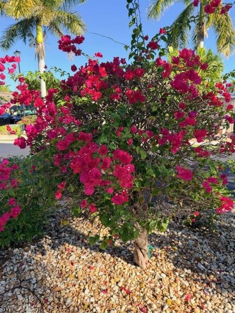 CYPRESS TRAIL RV RESORT - Land