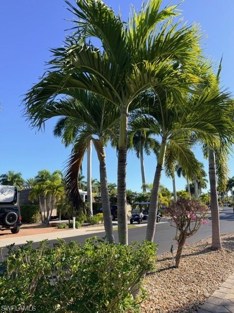 CYPRESS TRAIL RV RESORT - Land