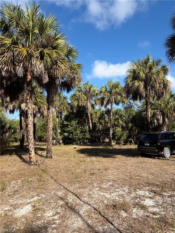 ACREAGE HEADER - Land