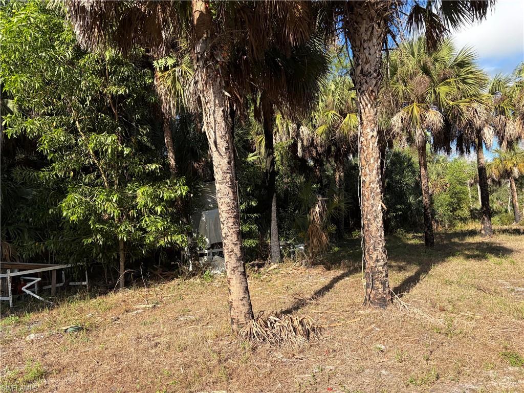 ACREAGE HEADER - Land