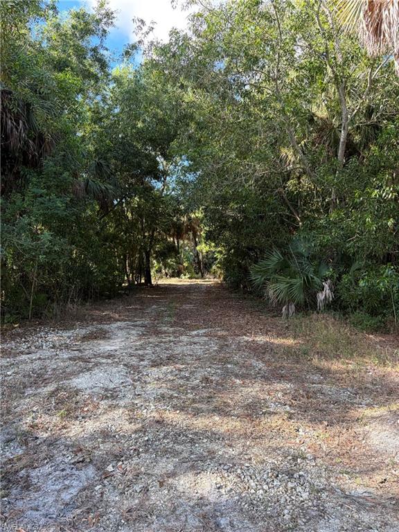 ACREAGE HEADER - Land