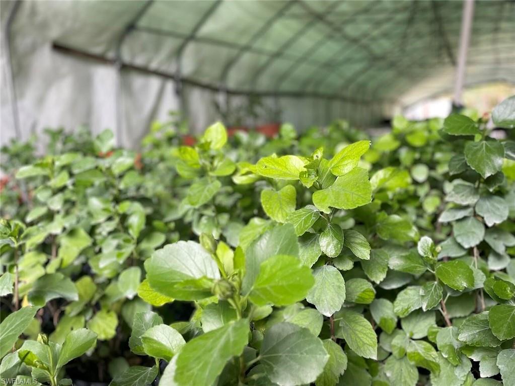 ACREAGE HEADER - Land