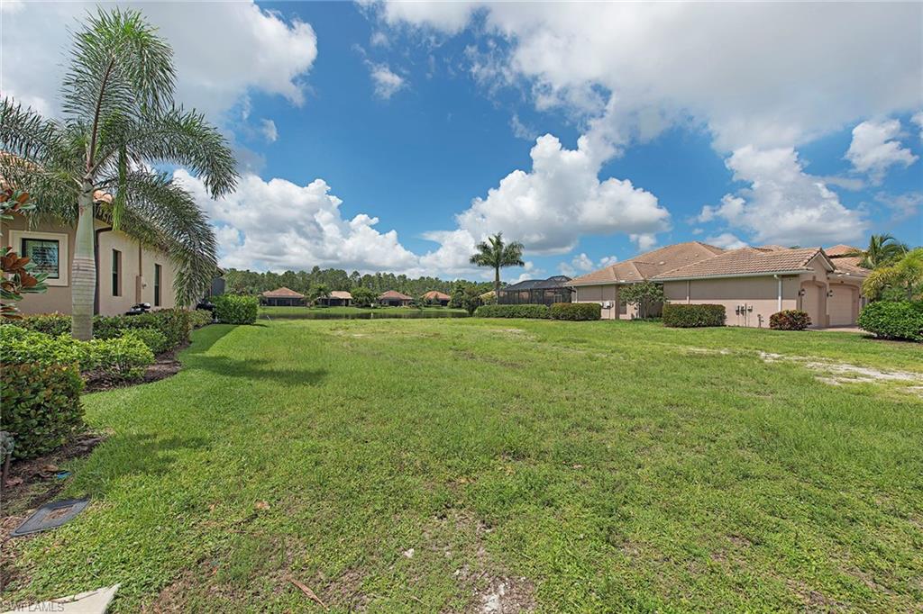 BLACK BEAR RIDGE - Land