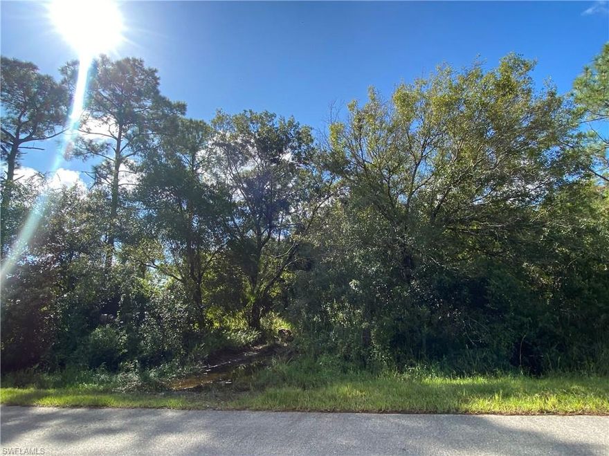 Potential 1.14 Acres Vacant Land! Perfect for building your dream home. The lot is conveniently located in the heart of Golden Gate Estates, a fast-growing area situated off 66th Ave NE and Everglades Blvd N, near the Estates Elementary school and  Immokalee Rd., approximately 10 minutes from Palmetto High School, Corkscrew Middle School, gas stations, and shopping centers.