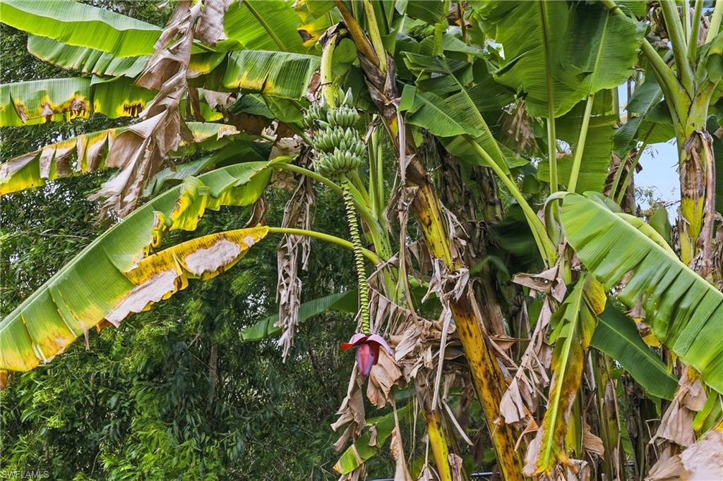 EAGLE RIDGE - Residential