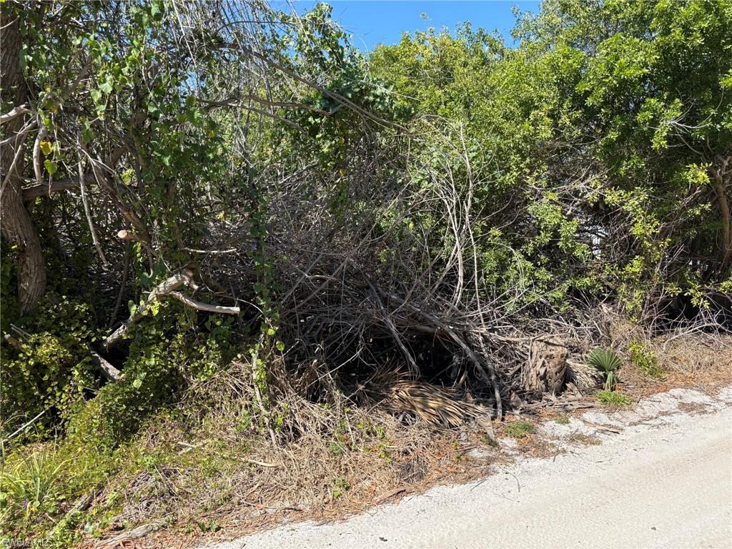 CAPTIVA PALMA UNRECORDED SUBDIVISION - Land